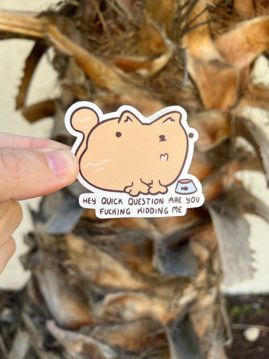 Quick question are you fucking kidding me - cute funny cat sticker