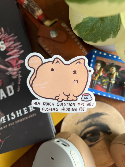 Quick question are you fucking kidding me - cute funny cat sticker