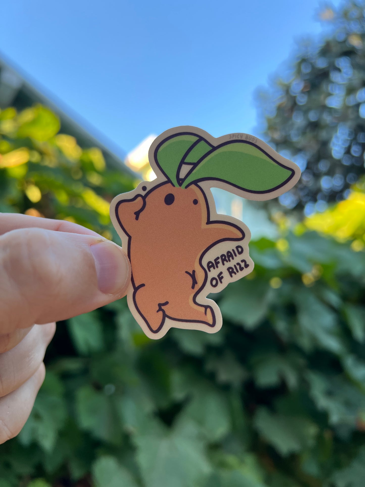 Afraid of Rizz - funny sticker