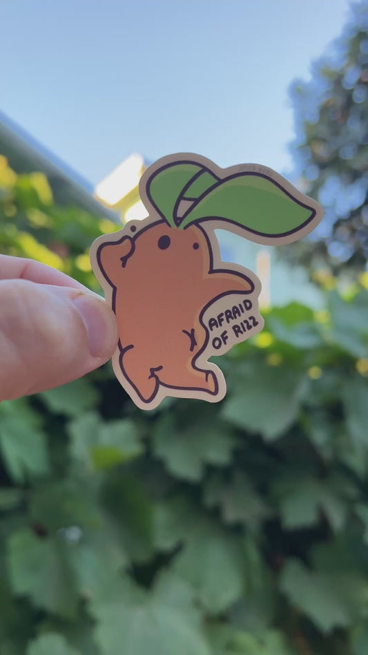 Afraid of Rizz - funny sticker