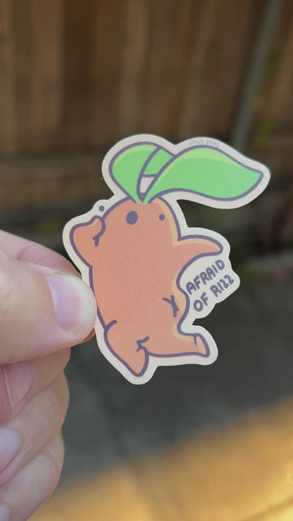 Afraid of Rizz - funny sticker